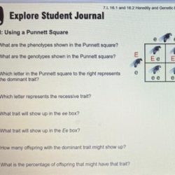 Explore student journal answer key