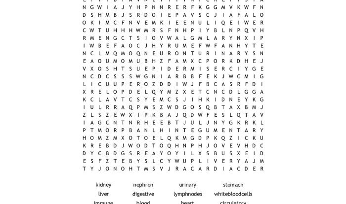 Human body systems crossword puzzle