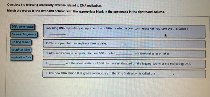 Complete the following vocabulary exercise related to dna replication