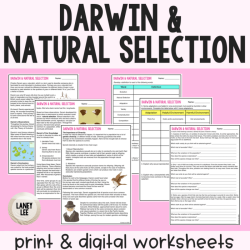 Evolution by natural selection worksheet answer key