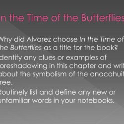 In the time of the butterflies chapter 8 summary